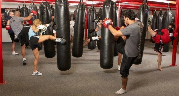 Members practicing kicks on heavy bags